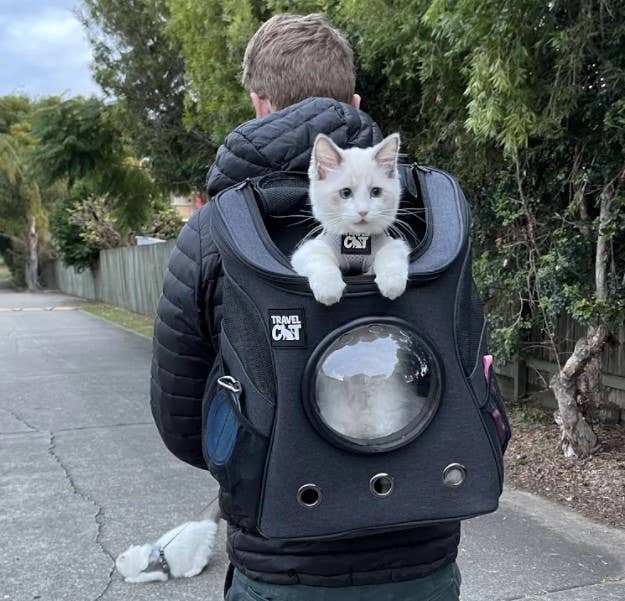 Travel Cat | Your Cat Backpack - "The Fat Cat" Cat Backpack For Large Cats - Bubble Carrier